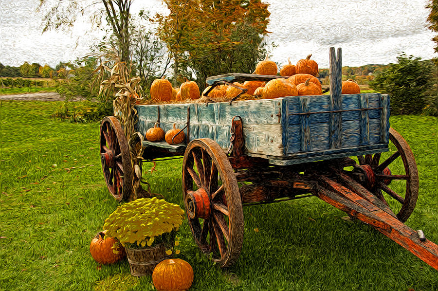 Pumpkins Photograph by Bill Howard