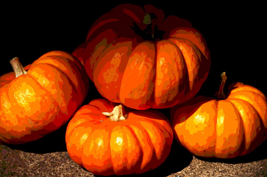 Pumpkin Photograph - Pumpkins by Christina Ochsner