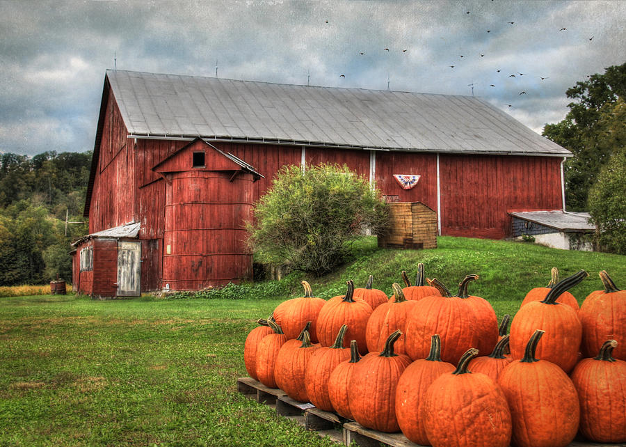 Pumpkins for Sale Photograph by Lori Deiter - Fine Art America