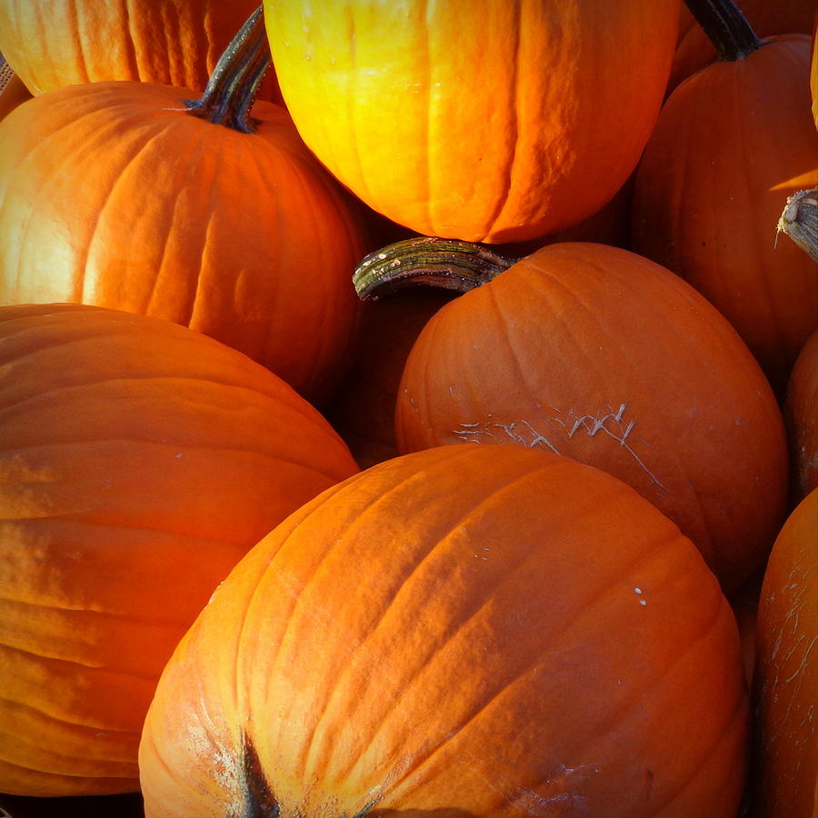 Pumpkin Photograph - Pumpkins by Joseph Skompski