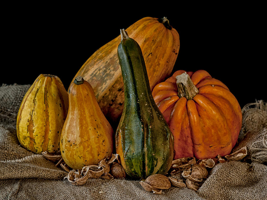Pumpkins Photograph by Mike Santis