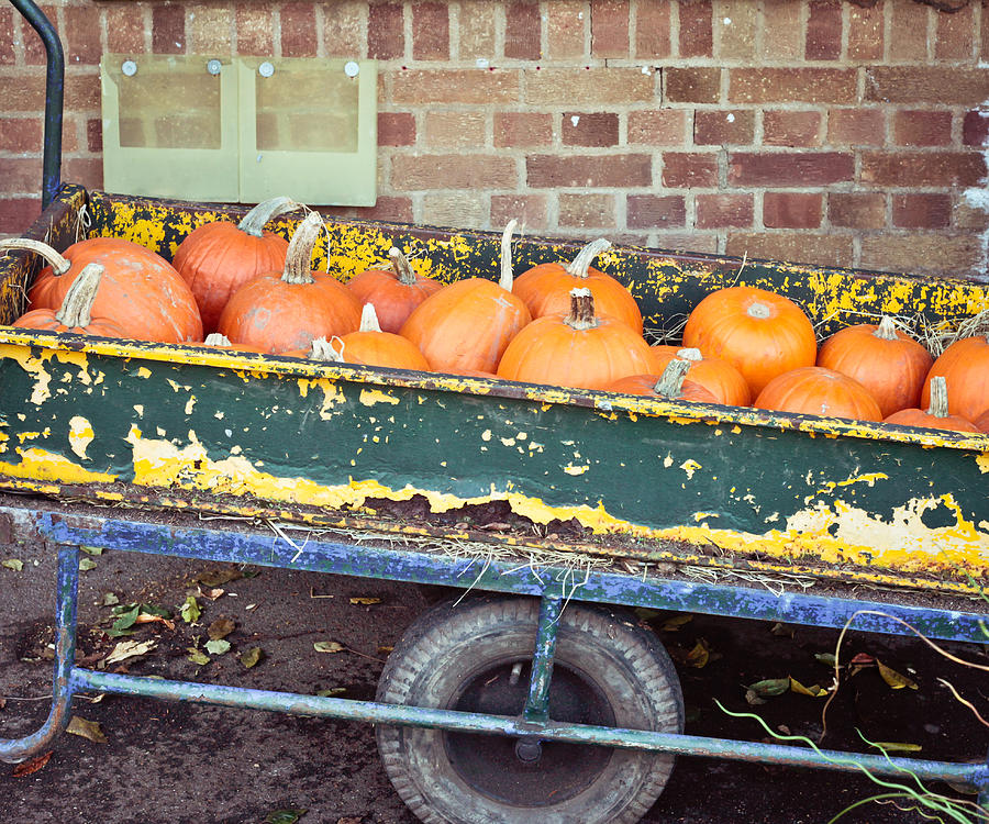 Fall Photograph - Pumpkins by Tom Gowanlock