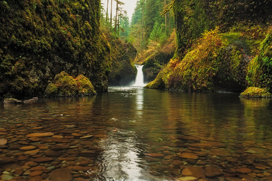 Punch Bowl Falls 2012 Photograph by Alvin Kroon