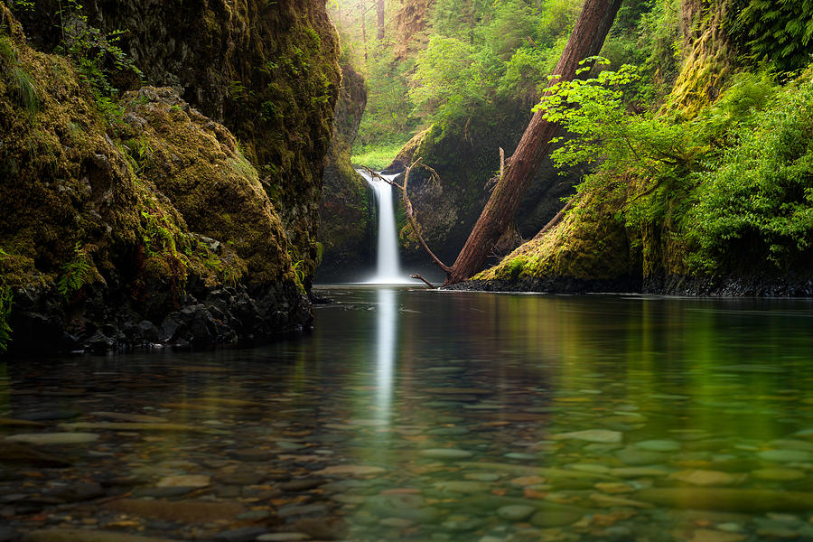 Punch Bowl Falls Photograph by Andrew Kumler