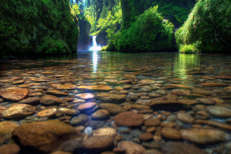 Punch Bowl Falls Photograph by Dustin LeFevre