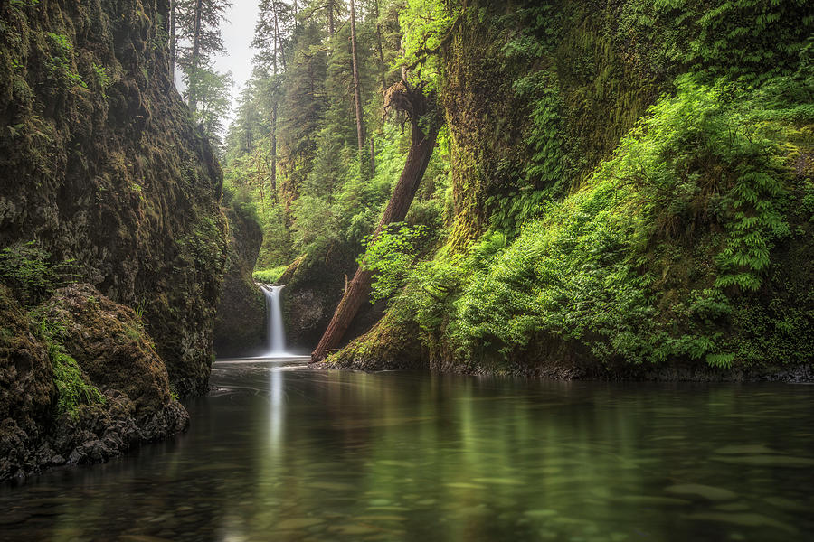 Punch Bowl Falls, Portland, Oregon, Usa Photograph by Jonathan Tucker ...