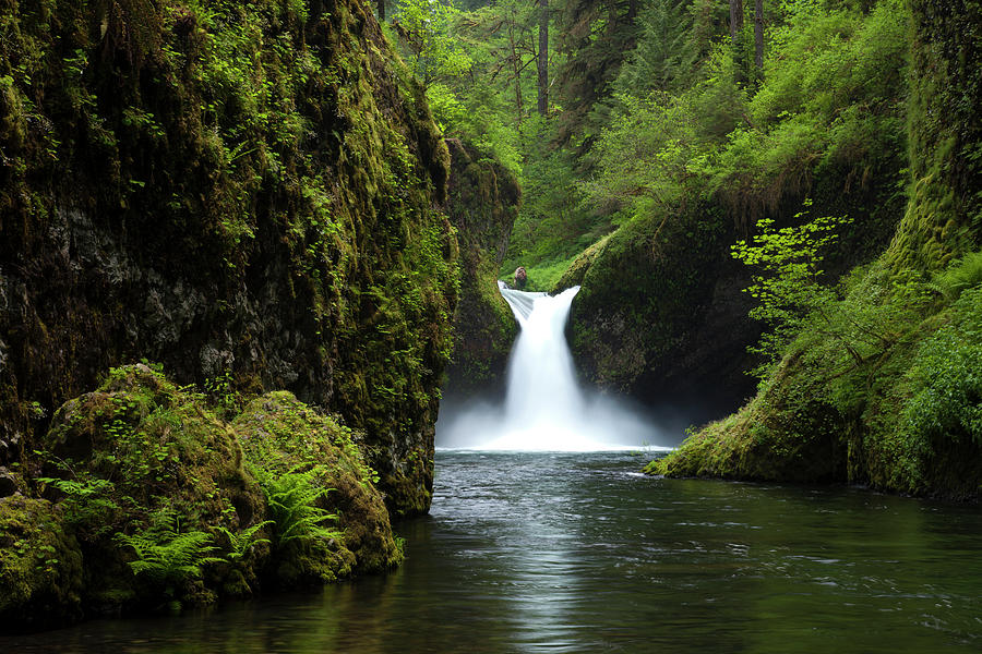 Punch Bowl Waterfall, Eagle Creek Photograph by Art Wolfe Pixels