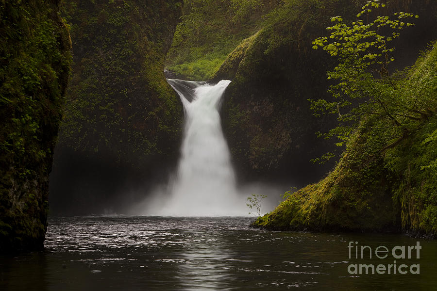 Waterfall Photograph - Punchbowl Falls by Keith Kapple