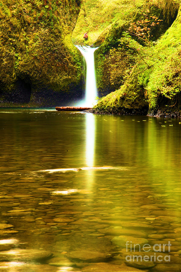 Punchbowl Portrait Photograph by Adam Jewell
