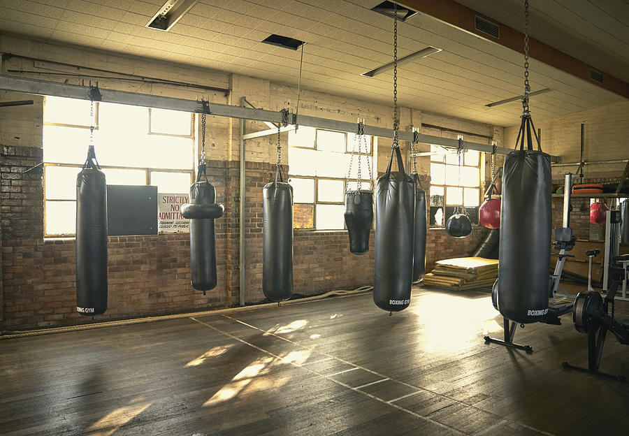 Punching bags in empty gymnasium Photograph by Colin Anderson Productions Pty Ltd