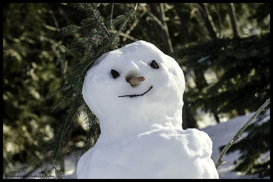 Punker snowman Photograph by LeeAnn McLaneGoetz McLaneGoetzStudioLLCcom