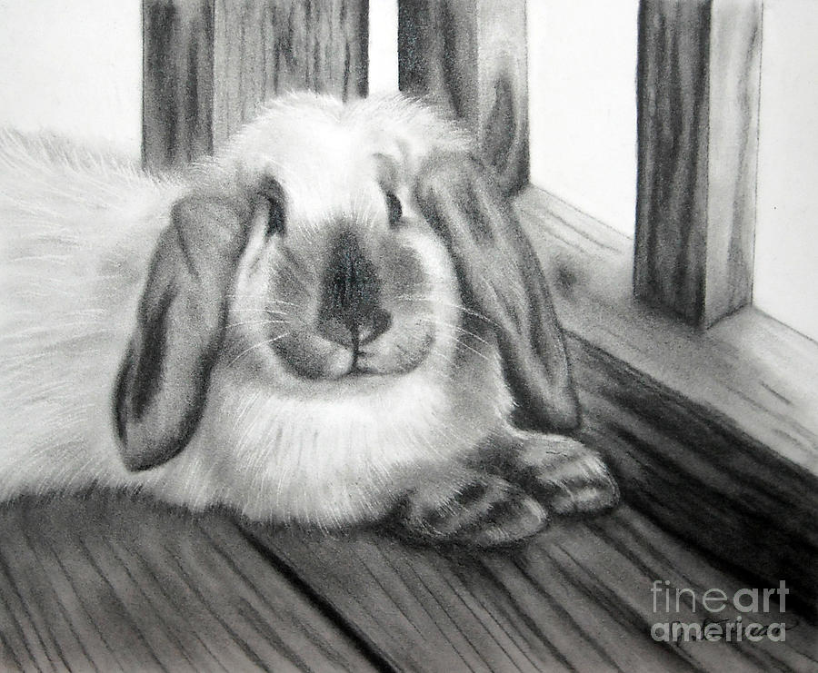 Charcoal Painting - Punky Bunny by Jane Steelman