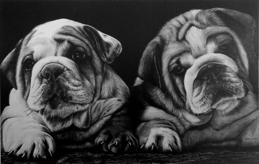 Puppies Drawing by Jerry Winick