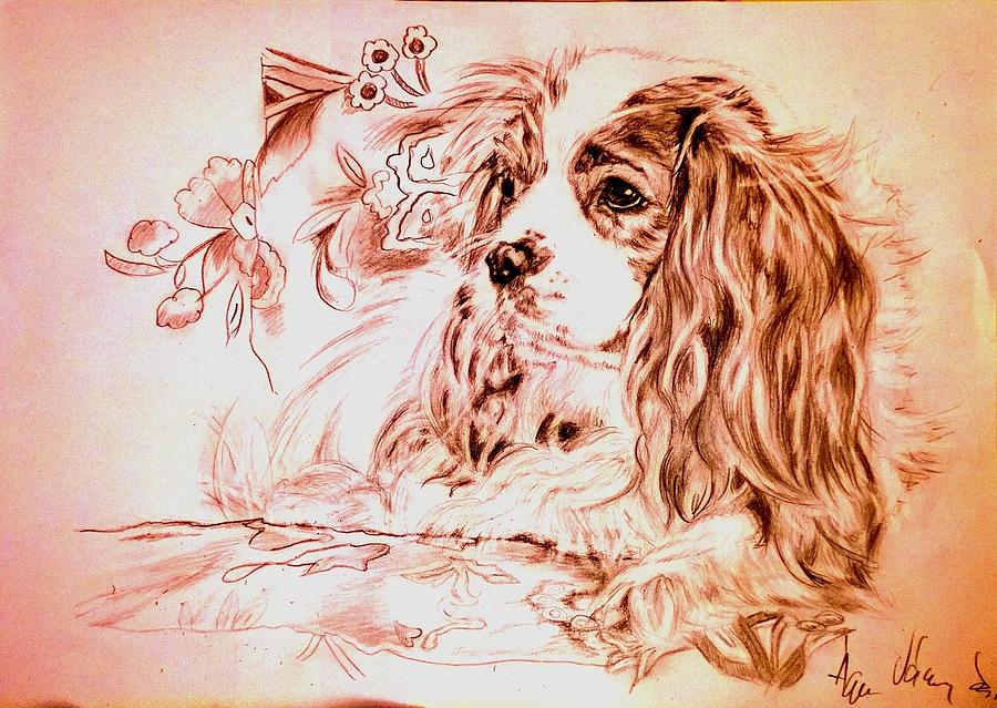 Puppy Drawing by Agnes V