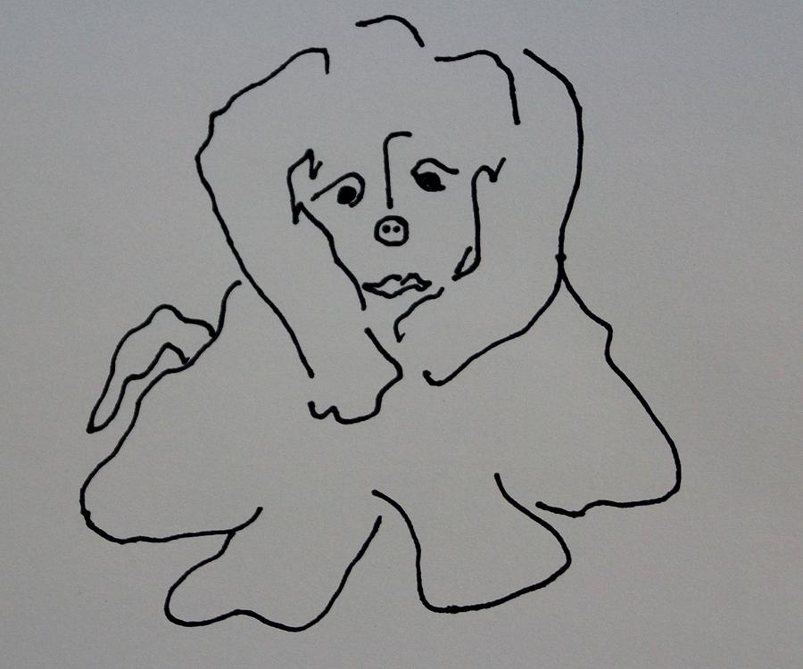 Puppy Drawing by Erika Jean Chamberlin