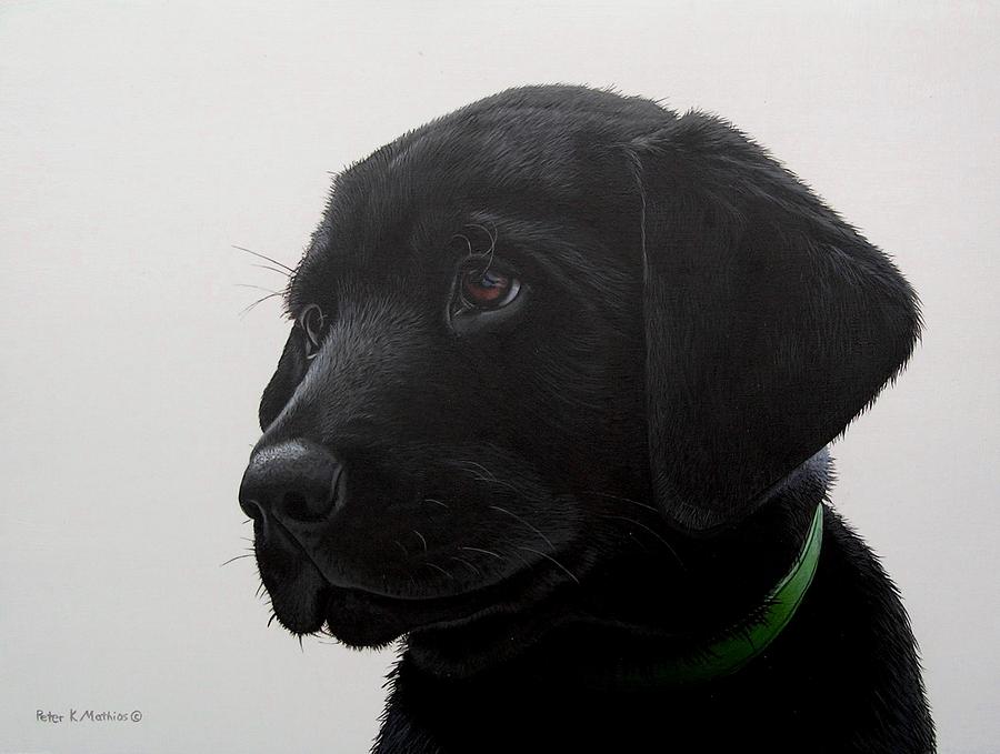 Dog Painting - Puppy Eyes by Peter Mathios