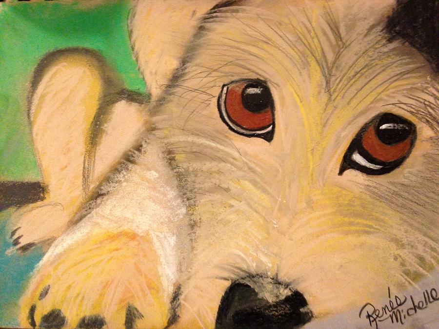 Puppy Eyes Pastel by Renee Michelle Wenker