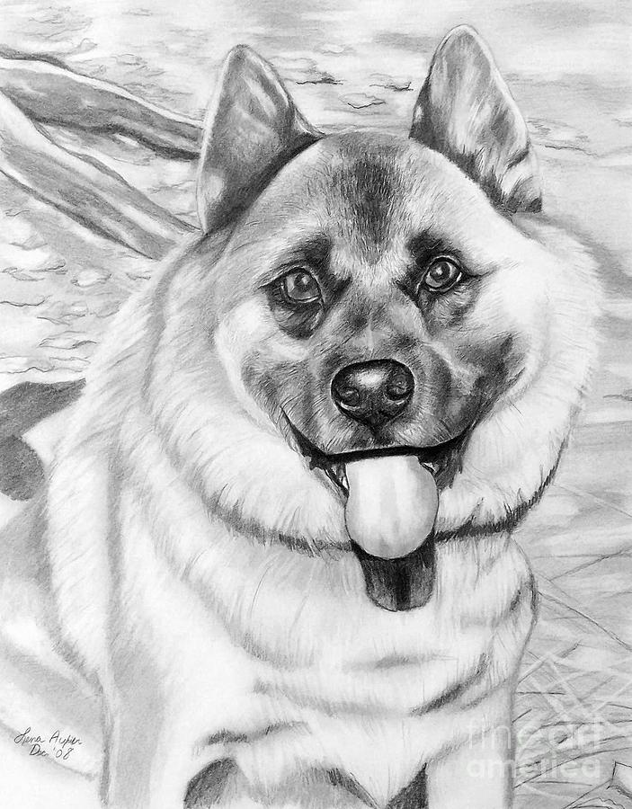 Puppy is His Name Drawing by Lena Auxier