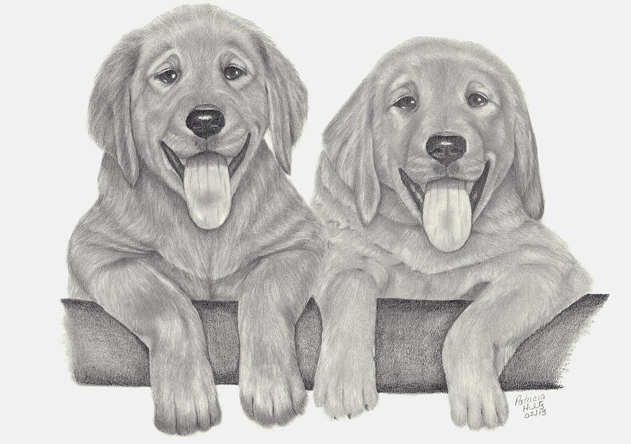 Puppy Love Drawing by Patricia Hiltz