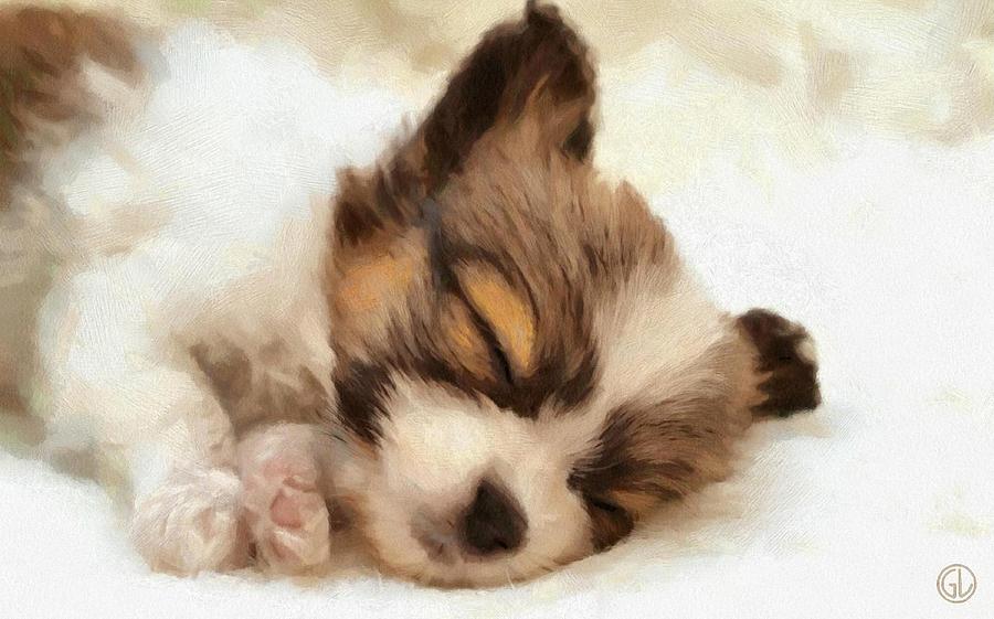 Animal Digital Art - Puppy nap by Gun Legler