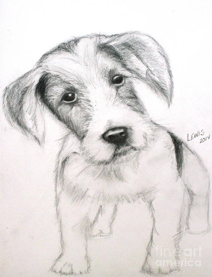 Puppy Pal Drawing By William Lewis - Fine Art America