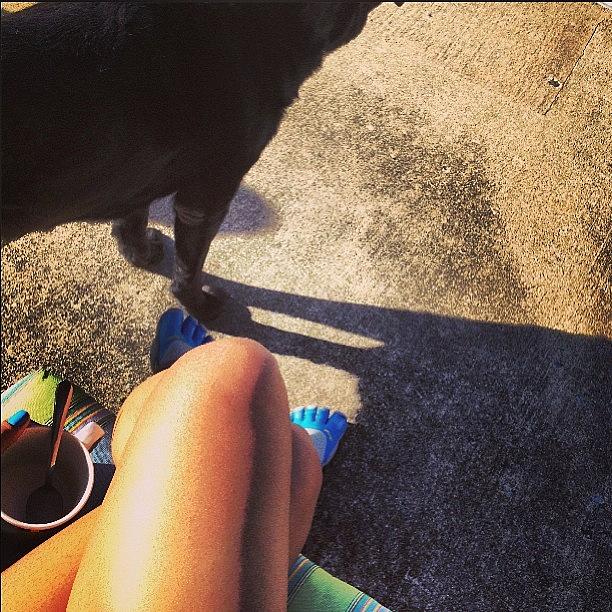 Coffee Photograph - Puppy Shadows! #morning #fivefingers by Bianca Q