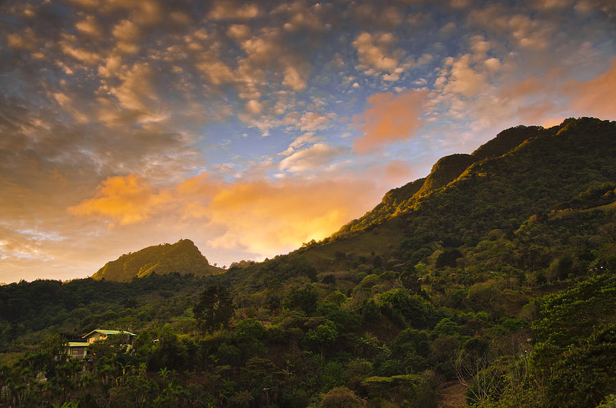 Jungle Photograph - Pura Vida Costa Rica by Aaron Bedell