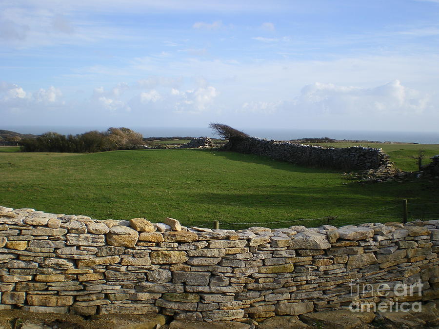 Purbeck Stone Wall Photograph by Ann Fellows - Pixels