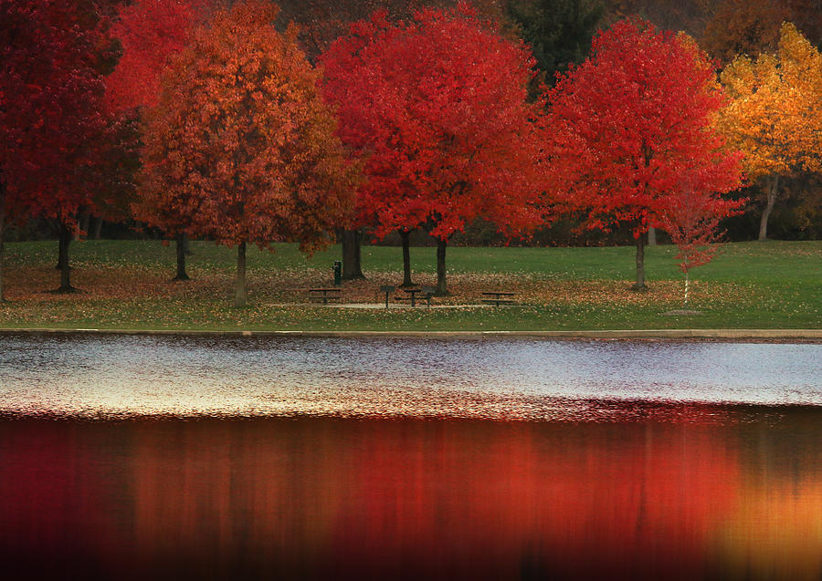 Pure Autumn Photograph by Rob Blair