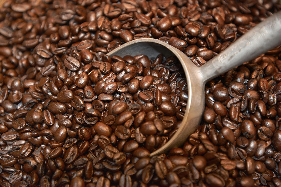 Coffee Bean Photograph - Pure Java by Aloha Art