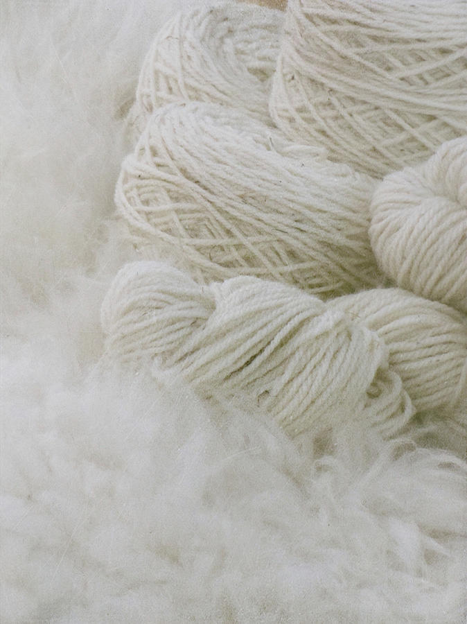 Pure Natural Wool Photograph by Francois Dion