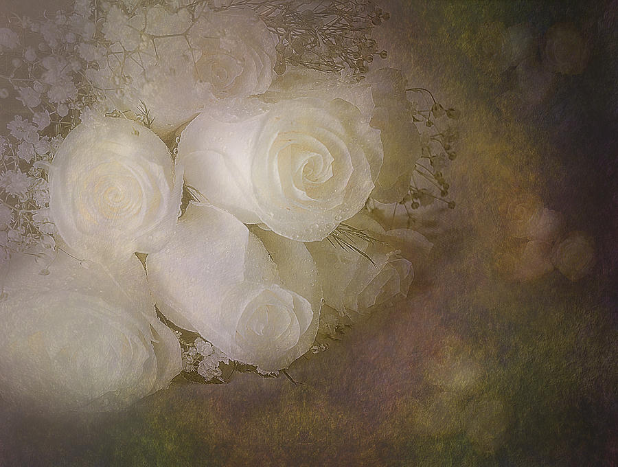 Flower Photograph - Pure Roses by Susan Candelario