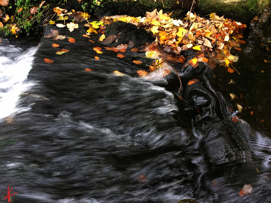 Nature Photograph - Pure Wild Autumn Denmark by Colette V Hera Guggenheim