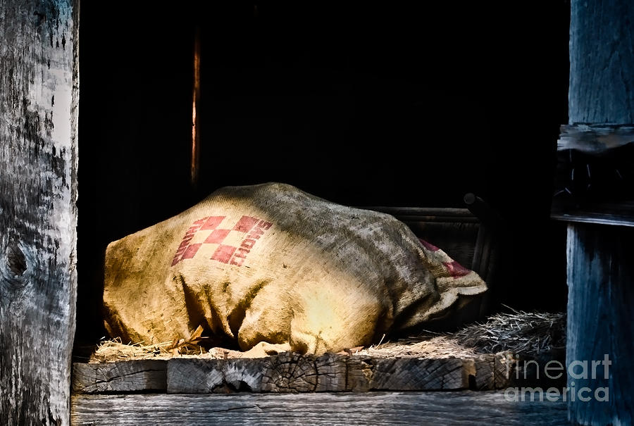 Purina Feed Sack in Loft Photograph by Greg Jackson