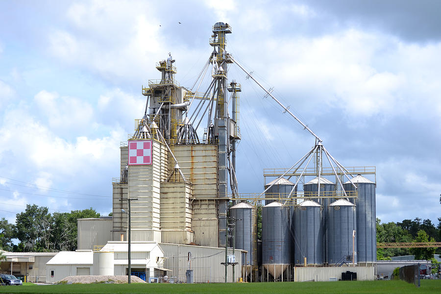 Purina Grain Mill Lake City Florida Photograph by Roy Erickson Pixels