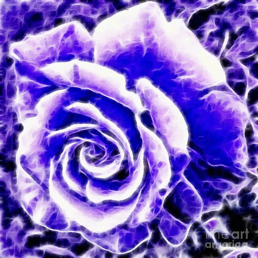 Purple and Blue Rose Expressive Brushstrokes Photograph by Barbara A Griffin