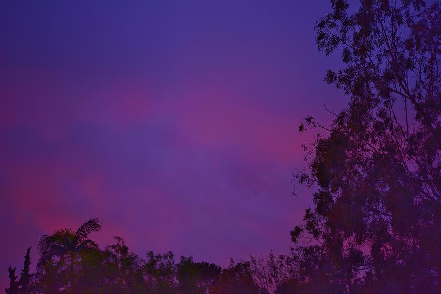Purple and Blue Sunset Photograph by Linda Brody