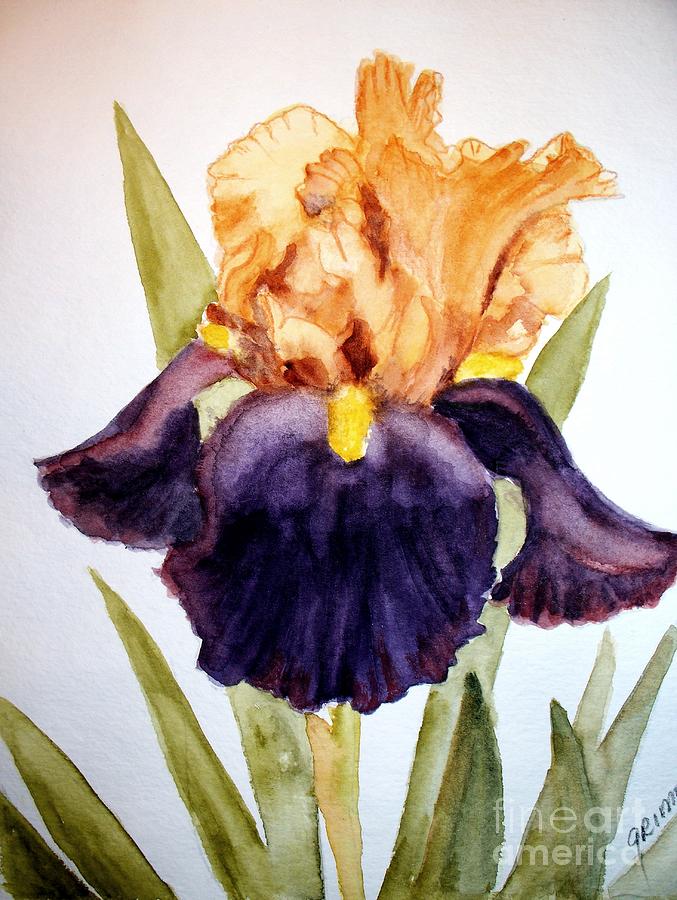 Purple and Orange Iris Painting by Carol Grimes