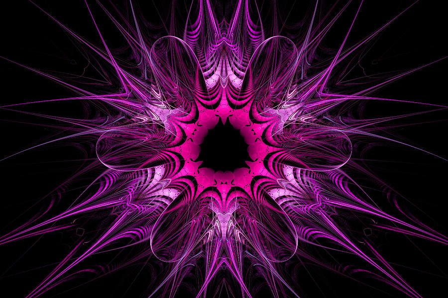 Purple and pink fractal star flower Digital Art by Matthias Hauser