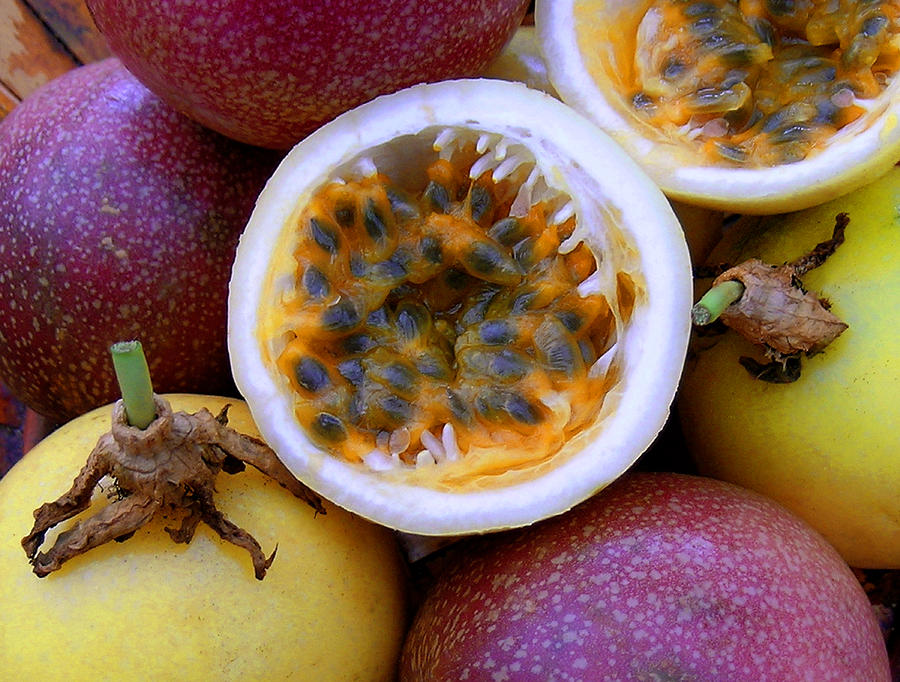 Purple and Yellow Passion Fruit Photograph by James Temple