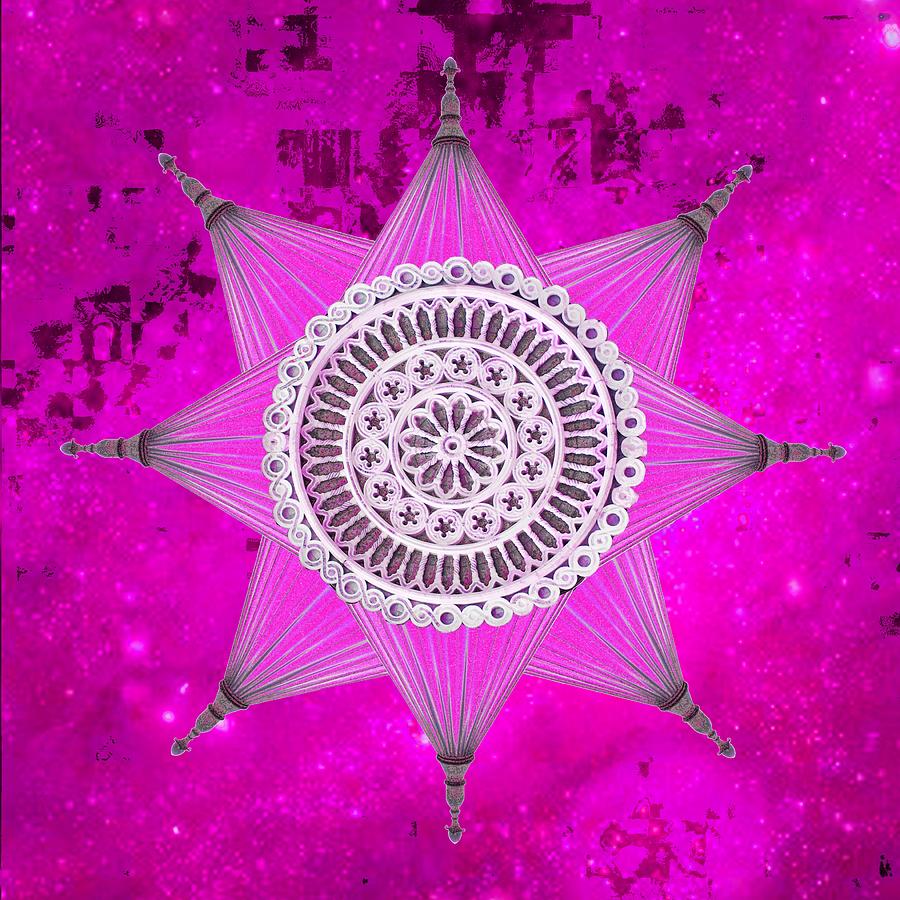 Purple Victorian Star  Photograph by Suzanne Powers