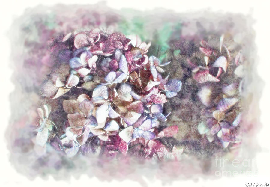 Nature Photograph - Purple Autumn Hydrangeas Dreamy photoart II by Debbie Portwood