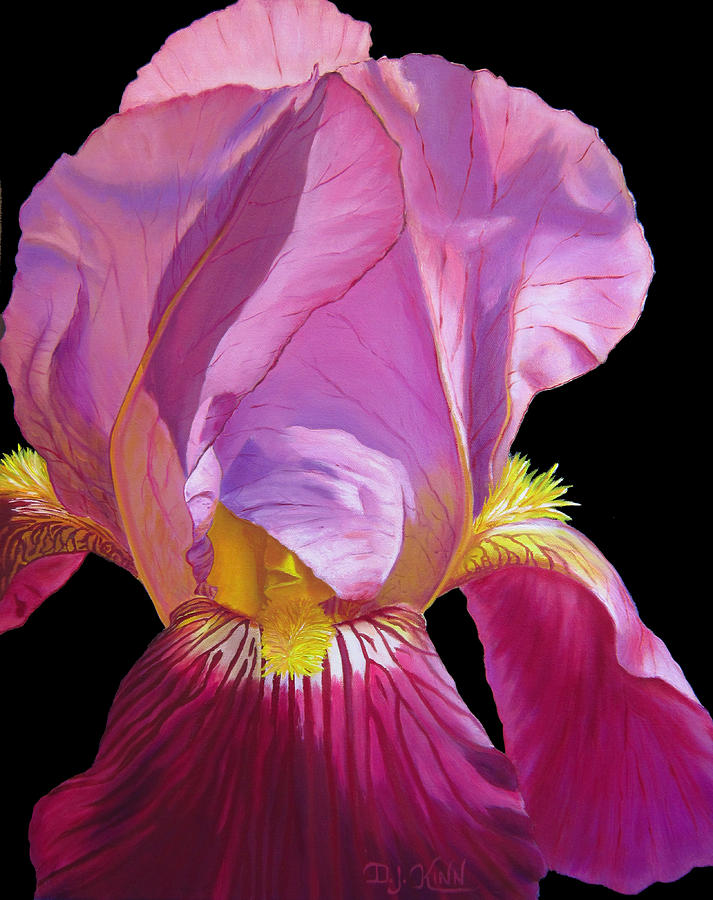 Purple Bearded Iris Painting by Dottie Kinn