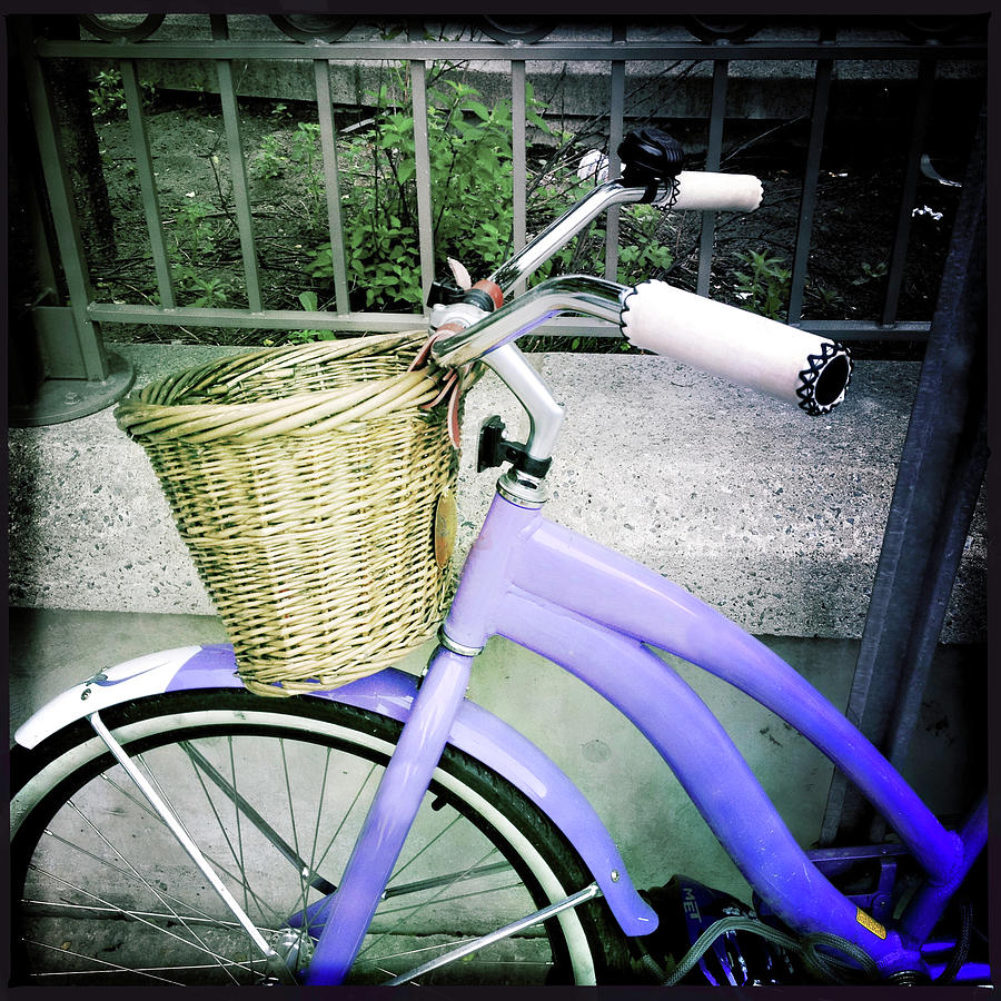 Purple Bike And Basket Photograph by Danielle Donders