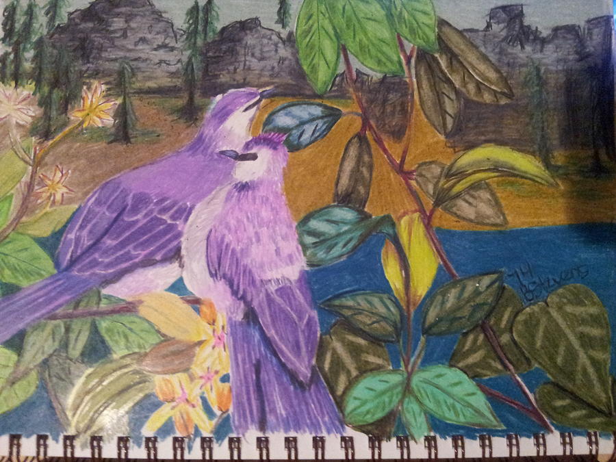 Purple Birds Drawing by Barbara Stevens - Fine Art America