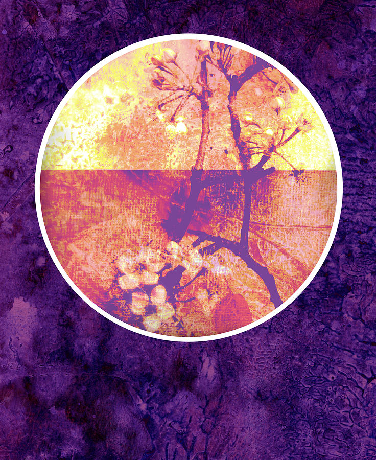 Flower Mixed Media - Purple Blossom by Ann Powell