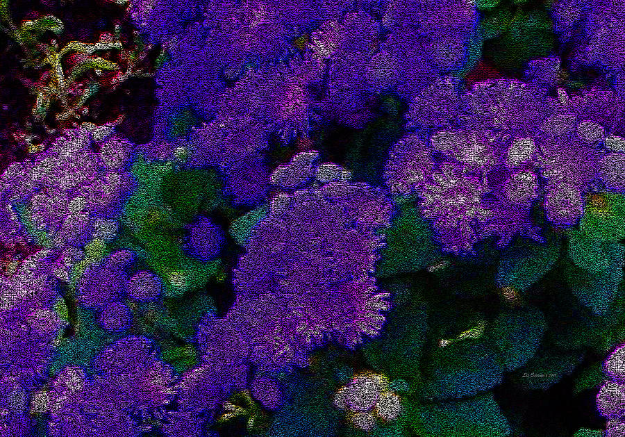 Purple Blue Asters Photograph by Liz Evensen