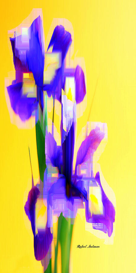 Purple Bouquet Digital Art by Rafael Salazar