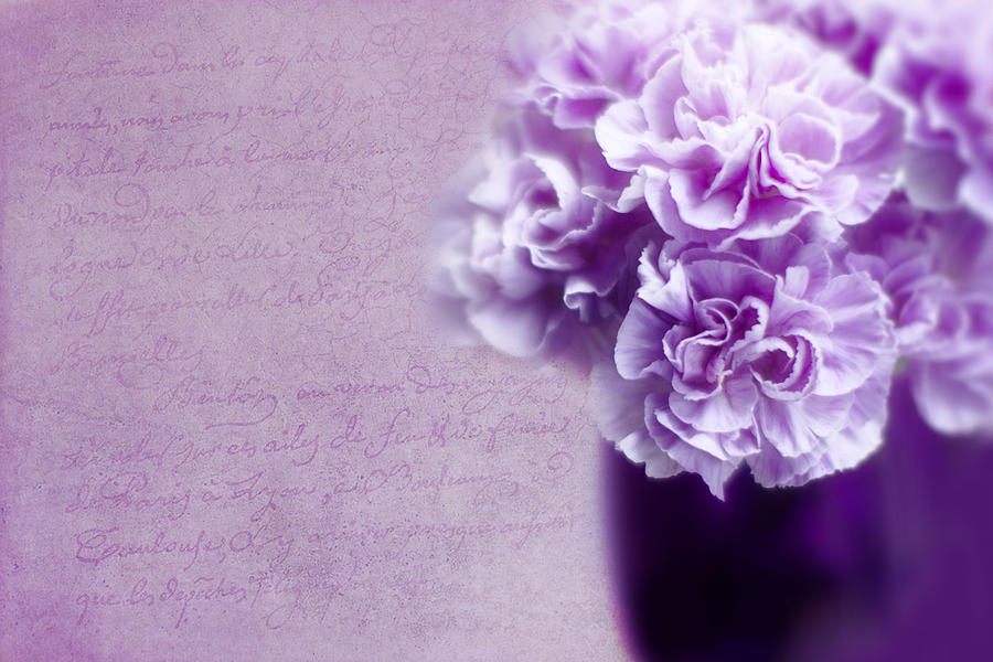 Flower Photograph - Purple Carnations by Rebecca Cozart