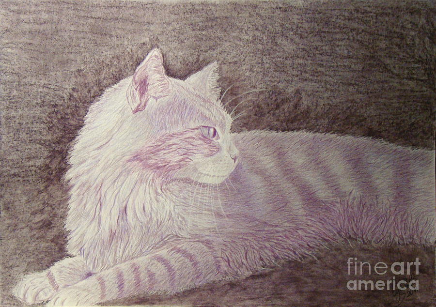 Purple cat Painting by Cybele Chaves